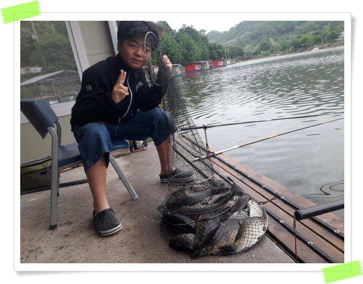 붕어낚시 수곡낚시터 고르게 꾸준히 잘 나와줍니다 토일요일 조황 (유료터정보 - 유료터점주조황)
