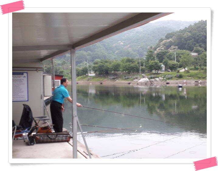 양평 수곡낚시터 낮시간부터 붕어들이 나와주며 꾸준하네요 오늘도 붕어방류 합니다 (유료터정보 - 유료터점주조황)