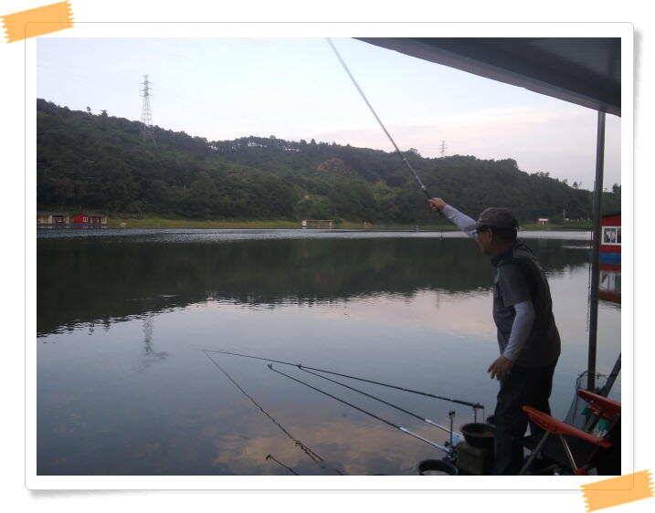 수곡낚시터 붕어낚시 조황 더 좋은 조과가 나옵니다 주말도 붕어방류 합니다 (유료터정보 - 유료터점주조황)