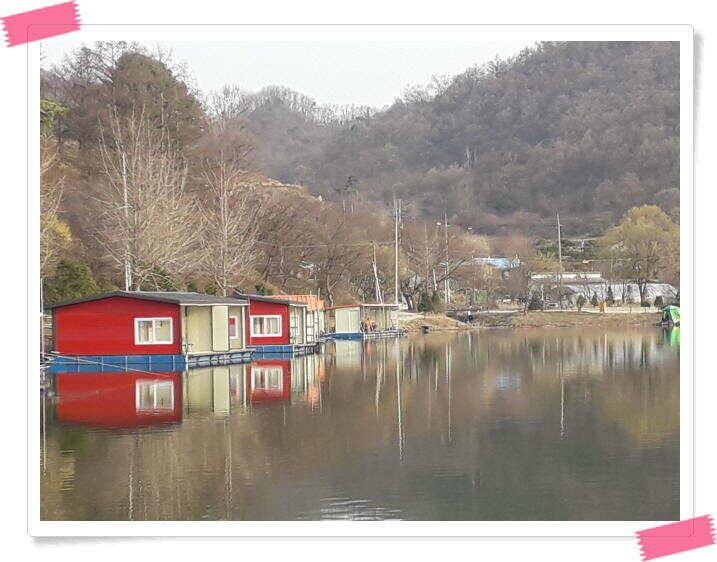 수곡낚시터 붕어조황 소식 4월 6일 (유료터정보 - 유료터점주조황)