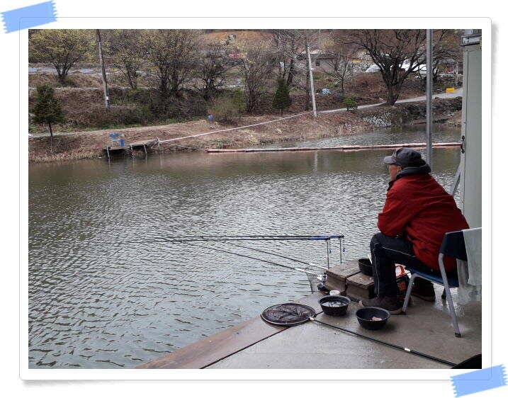 양평 수곡낚시터 빗속에서도 붕어들이 올라와 주었네요 4월 10일 조황 (유료터정보 - 유료터점주조황)