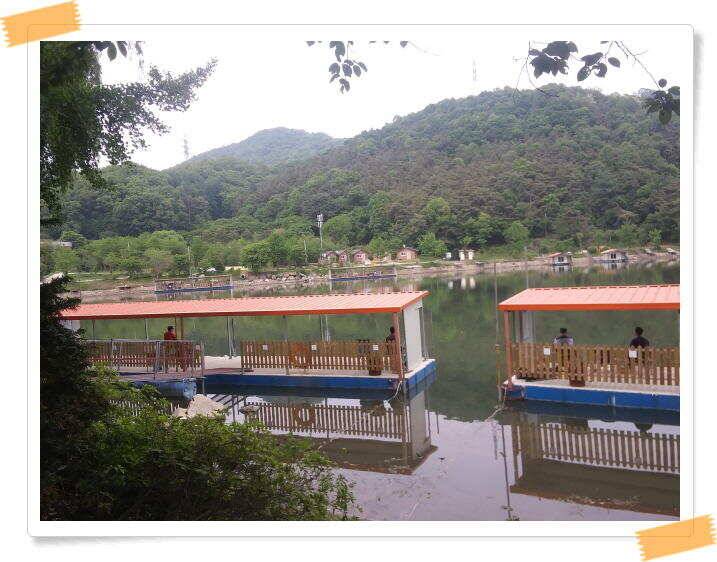 붕어낚시 수곡낚시터 연이은 붕어 대박조황5월18일 및 축양붕어 추가 방류 소식 (유료터정보 - 유료터점주조황)