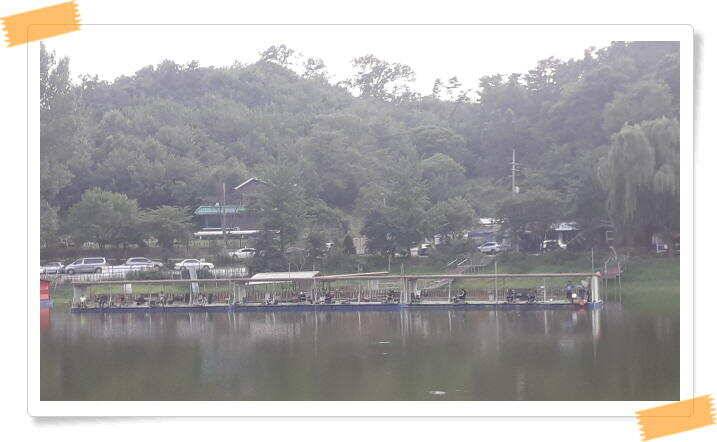 민물낚시 피서낚시 붕어낚시 좌대낚시 노지낚시 양평 힐링 수곡낚시터 붕어방류 조황 안내 8월3일 (유료터정보 - 유료터점주조황)