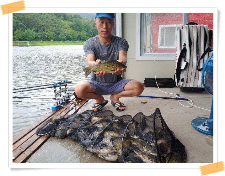 민물낚시 힐링 양평 수곡낚시터 호조황속 대박조황이 나와주네요 오늘도 붕어방류 완료했습니다 (유료터정보 - 유료터점주조황)