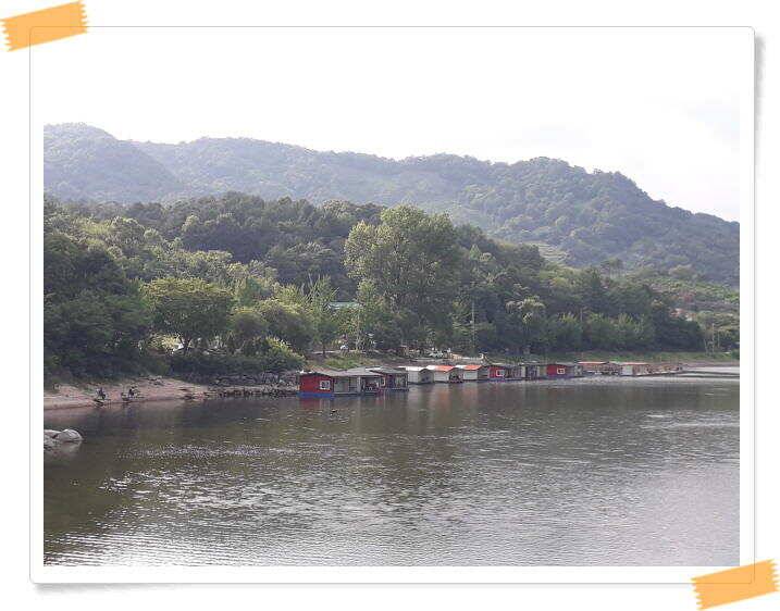 수곡낚시터 붕어조황 7월13일 더 좋은 조과가 이어집니다 오늘도 붕어방류 합니다 (유료터정보 - 유료터점주조황)
