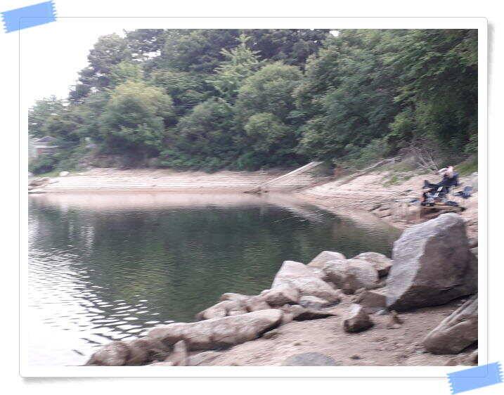 양평 수곡낚시터 7월 출발이 괜찬습니다 7월1일 조황 안내 (유료터정보 - 유료터점주조황)