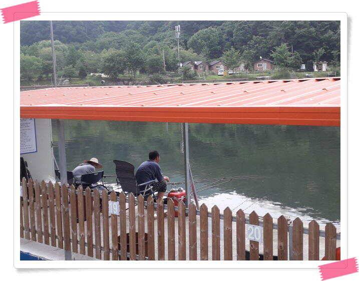 양평 수곡낚시터 낮시간부터 붕어들이 나와주며 꾸준하네요 오늘도 붕어방류 합니다 (유료터정보 - 유료터점주조황)