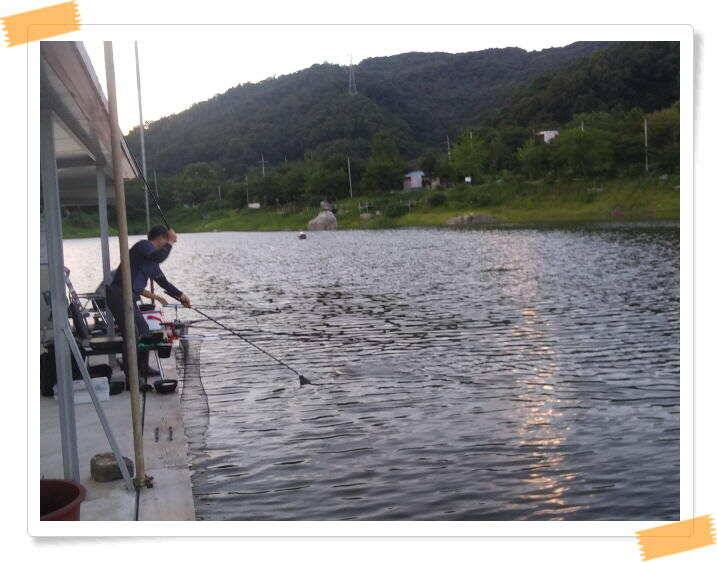 민물낚시 힐링 양평 수곡낚시터 호조황속 대박조황이 나와주네요 오늘도 붕어방류 완료했습니다 (유료터정보 - 유료터점주조황)