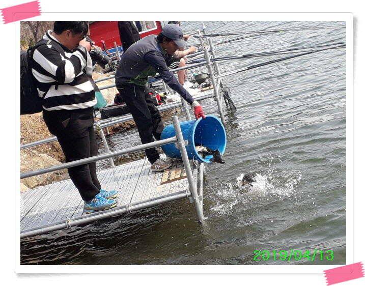 수곡낚시터 주말 조황4월둘째주 및 붕어 방류 (유료터정보 - 유료터점주조황)