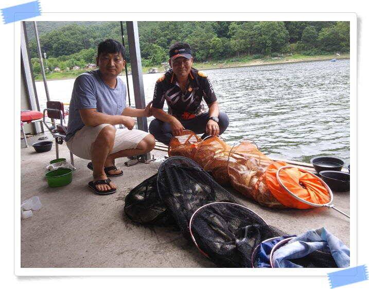 힐링 수곡낚시터 대박 붕어조황도 나와주고 꾸준합니다 오늘도 붕어방류 이어집니다 (유료터정보 - 유료터점주조황)