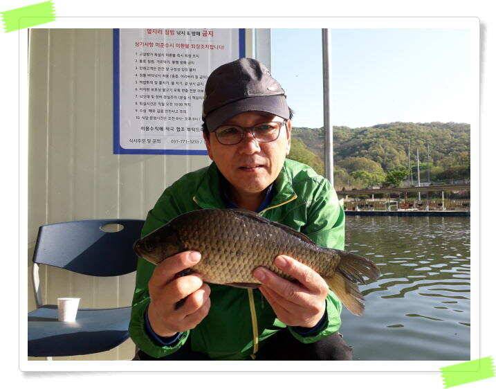 수곡낚시터 붕어 대량 방류 및 조황이 좋아졌습니다 (유료터정보 - 유료터점주조황)