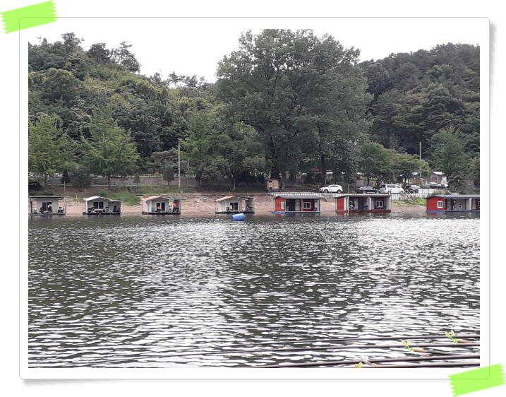 힐링 수곡낚시터 대박 붕어조황도 나와주고 꾸준합니다 오늘도 붕어방류 이어집니다 (유료터정보 - 유료터점주조황)