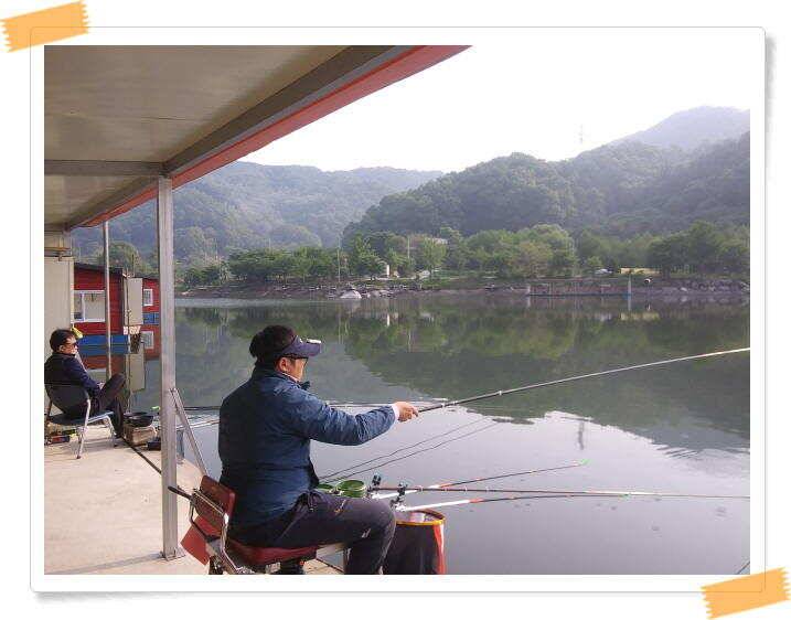 붕어낚시 수곡낚시터 연이은 붕어 대박조황5월18일 및 축양붕어 추가 방류 소식 (유료터정보 - 유료터점주조황)