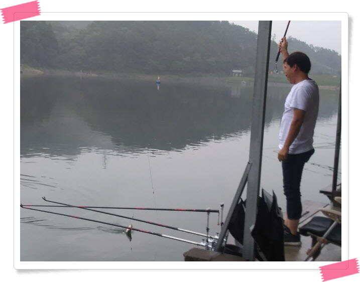 붕어낚시 양평 힐링 수곡낚시터 주말 조황 붕어방류 안내드립니다 (유료터정보 - 유료터점주조황)