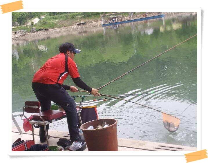 붕어낚시 수곡낚시터 연이은 붕어 대박조황5월18일 및 축양붕어 추가 방류 소식 (유료터정보 - 유료터점주조황)