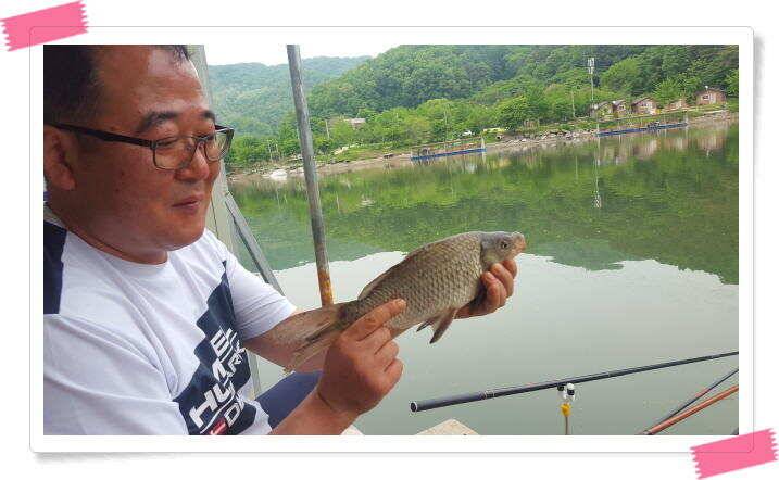 붕어낚시 수곡낚시터 연이은 붕어 대박조황5월18일 및 축양붕어 추가 방류 소식 (유료터정보 - 유료터점주조황)