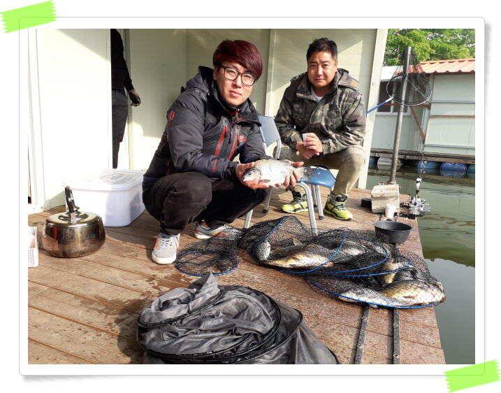 수곡낚시터 붕어낚시 주중5월9일조황 더 좋습니다 금일 붕어 대량방류 예정 (유료터정보 - 유료터점주조황)