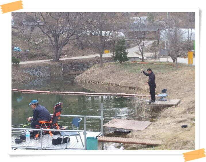 붕어낚시 수곡낚시터 주중 조황4월9일 안내 (유료터정보 - 유료터점주조황)