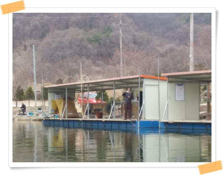 수곡낚시터 붕어낚시 조황 꾸준합니다4월 12일 (유료터정보 - 유료터점주조황)