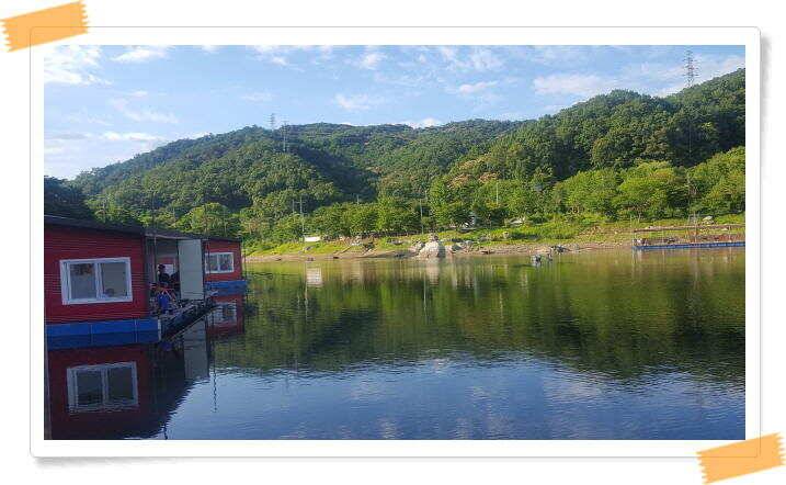 힐링 양평 수곡낚시터 오늘도 낮시간 붕어조황이 이어집니다 주말 조황 및 붕어방류 (유료터정보 - 유료터점주조황)