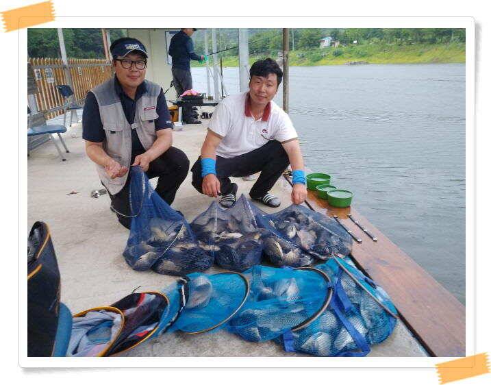 민물낚시 힐링 양평 수곡낚시터 호조황속 대박조황이 나와주네요 오늘도 붕어방류 완료했습니다 (유료터정보 - 유료터점주조황)