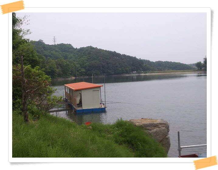 붕어낚시 수곡낚시터 연이은 붕어 대박조황5월18일 및 축양붕어 추가 방류 소식 (유료터정보 - 유료터점주조황)