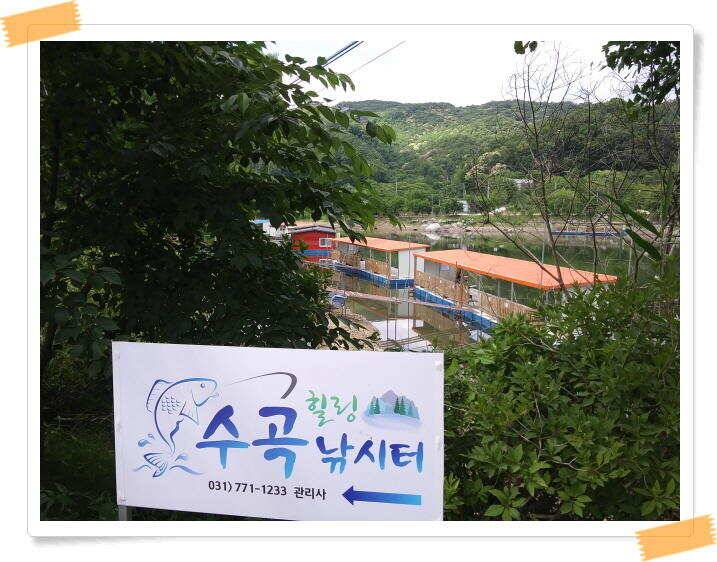 수곡낚시터 붕어낚시 조황 꾸준하게 나와줍니다 6월18일 조황 안내드립니다 (유료터정보 - 유료터점주조황)
