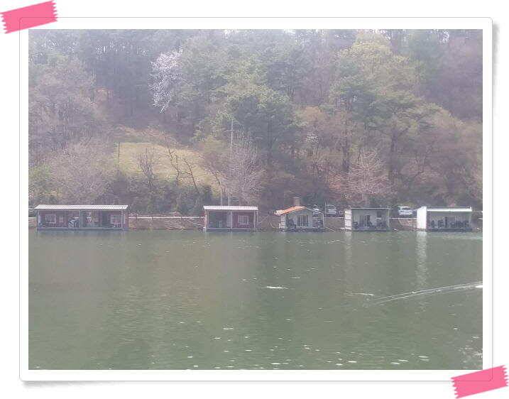 수곡낚시터 금요일토요일 조황 및 붕어 방류 (유료터정보 - 유료터점주조황)