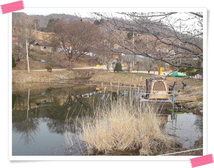 수곡낚시터 붕어조황 소식 4월 6일 (유료터정보 - 유료터점주조황)
