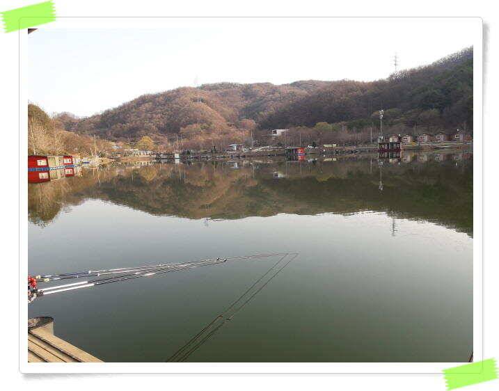 붕어낚시 수곡낚시터 주중 조황4월9일 안내 (유료터정보 - 유료터점주조황)