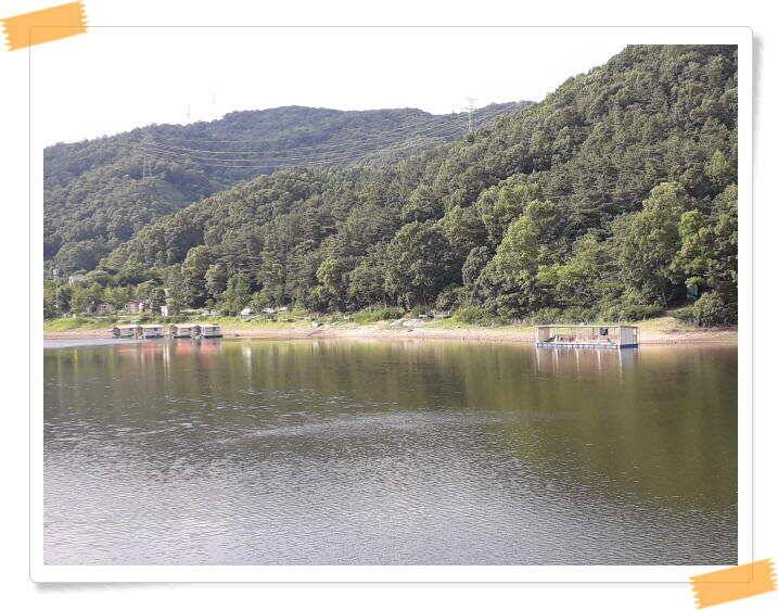 수곡낚시터 붕어조황 7월13일 더 좋은 조과가 이어집니다 오늘도 붕어방류 합니다 (유료터정보 - 유료터점주조황)
