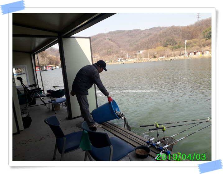 수곡낚시터 주중 조황 및 붕어 방류 안내 (유료터정보 - 유료터점주조황)