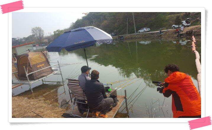 수곡낚시터 금요일토요일 조황 및 붕어 방류 (유료터정보 - 유료터점주조황)
