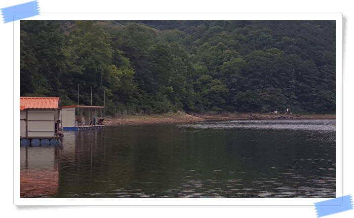 양평 힐링 수곡낚시터 6월28일 조황 소식 전해드립니다 토요일 붕어방류 이어집니다 (유료터정보 - 유료터점주조황)