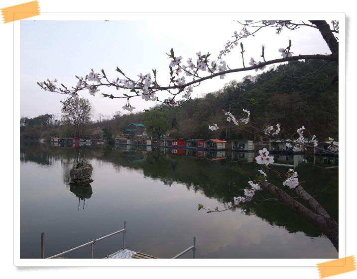 양평 수곡낚시터 주중 조황 및 축양붕어 방류 (유료터정보 - 유료터점주조황)