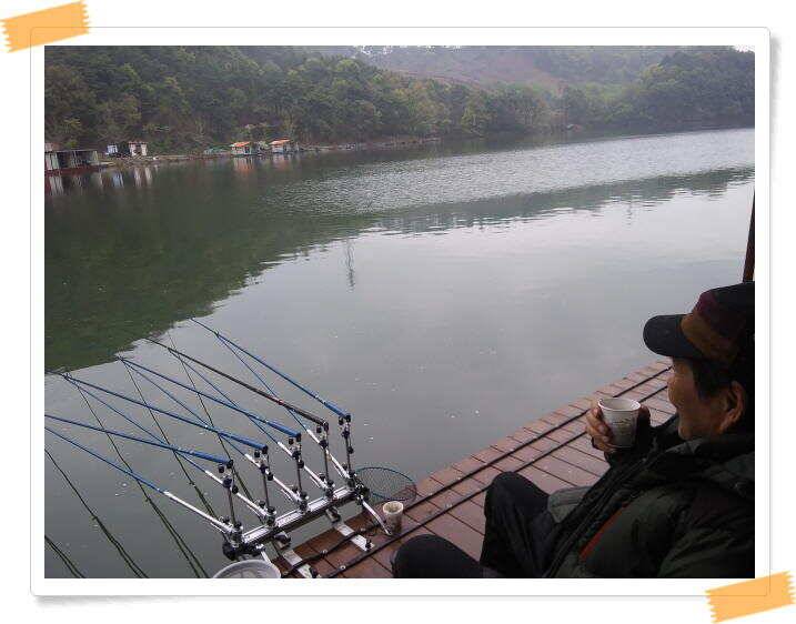 양평 수곡낚시터 주중 조황 및 축양붕어 방류 (유료터정보 - 유료터점주조황)