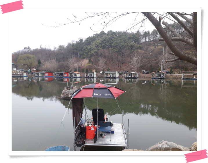 수곡낚시터 붕어낚시 조황 소식 4월 5일 (유료터정보 - 유료터점주조황)
