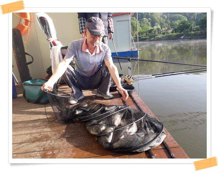 힐링 양평 수곡낙시터 붕어 좋은 조황 이어지네요 오늘 축양 붕어 방류 완료 (유료터정보 - 유료터점주조황)