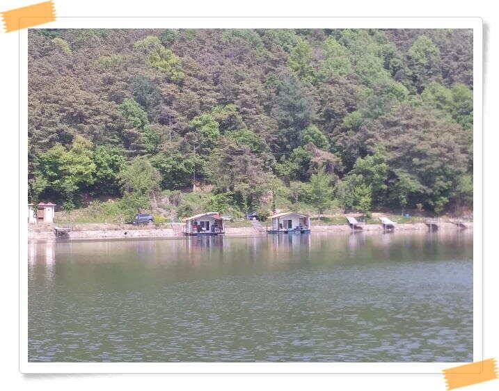 수곡낚시터 주말 및 일요일 조황 안내 (유료터정보 - 유료터점주조황)