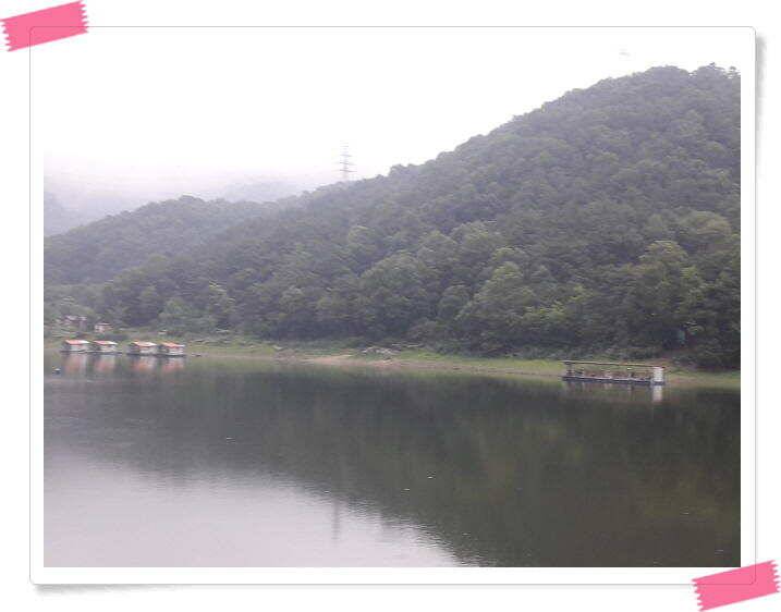 좌대낚시 노지낚시 양평 수곡낚시터 단비에 오름수위가 좋습니다 토요일에도 붕어방류 합니다 (유료터정보 - 유료터점주조황)