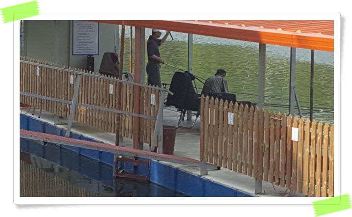 양평 수곡낚시터 오늘도 오전부터 붕어들이 계속나오면서 꾸준한 조황이 이어집니다 (유료터정보 - 유료터점주조황)