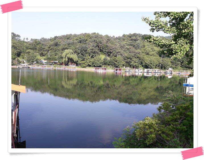 수곡낚시터 고르게 붕어조황이 나와주고 있습니다 (유료터정보 - 유료터점주조황)