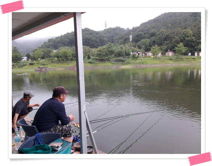 좌대낚시 노지낚시 양평 수곡낚시터 단비에 오름수위가 좋습니다 토요일에도 붕어방류 합니다 (유료터정보 - 유료터점주조황)