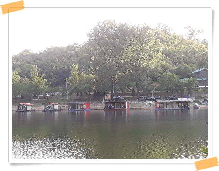 수곡낚시터 붕어낚시 조황 꾸준하게 나와줍니다 6월18일 조황 안내드립니다 (유료터정보 - 유료터점주조황)