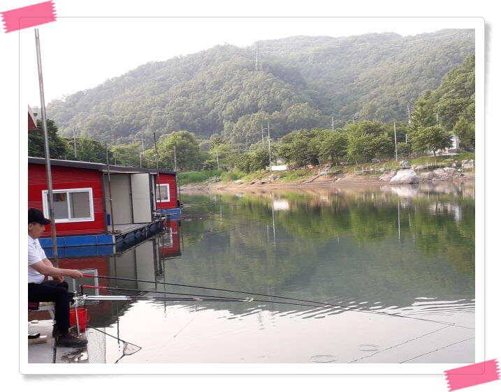 수곡낚시터 붕어방류 및 붕어조황 더 좋아지고 있습니다 (유료터정보 - 유료터점주조황)