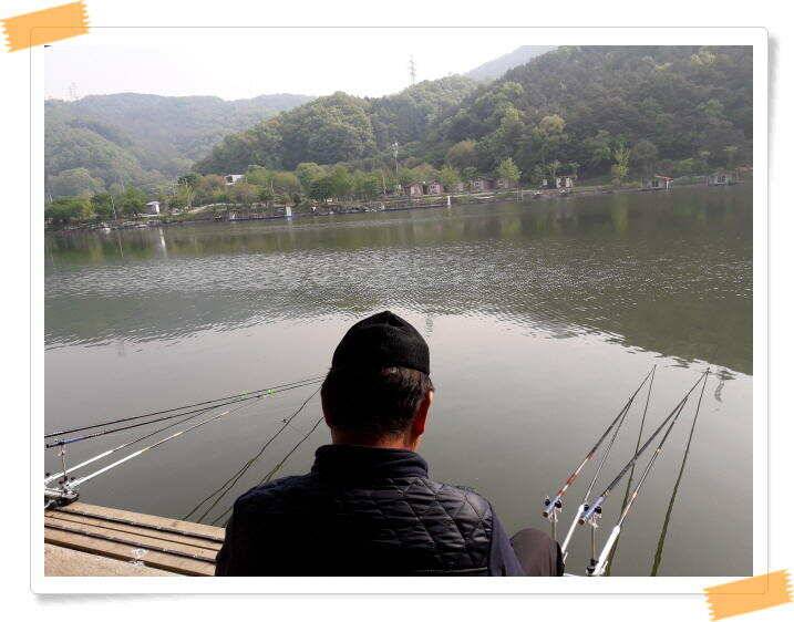 수곡낚시터 붕어낚시 주중5월9일조황 더 좋습니다 금일 붕어 대량방류 예정 (유료터정보 - 유료터점주조황)