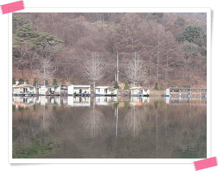 수곡낚시터 붕어조황 소식 4월 6일 (유료터정보 - 유료터점주조황)