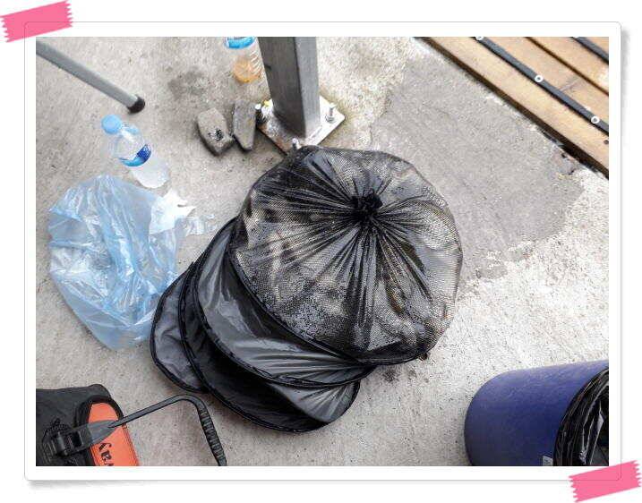 양평 수곡낚시터 꾸준하고 고른조황 이어지네요 오늘도 축양된 튼실한 붕어 대량 방류 했습니다 (유료터정보 - 유료터점주조황)