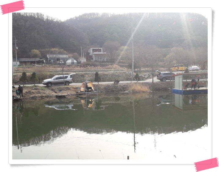 수곡낚시터 붕어조황 소식 4월 6일 (유료터정보 - 유료터점주조황)