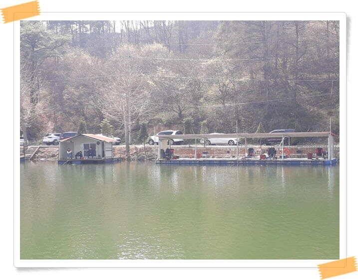 수곡낚시터 주말 조황4월둘째주 및 붕어 방류 (유료터정보 - 유료터점주조황)